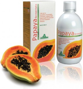 fermentalt-papaya-koncentratum
