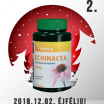 vitaking-echinacea-02-282x300